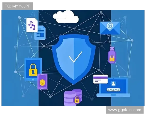 欧博旗舰网站：专业技术保障确保每位玩家的资金安全与隐私保护